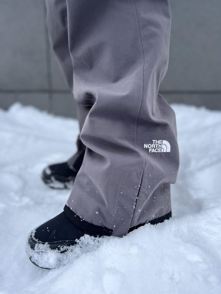 Штаны The North Face