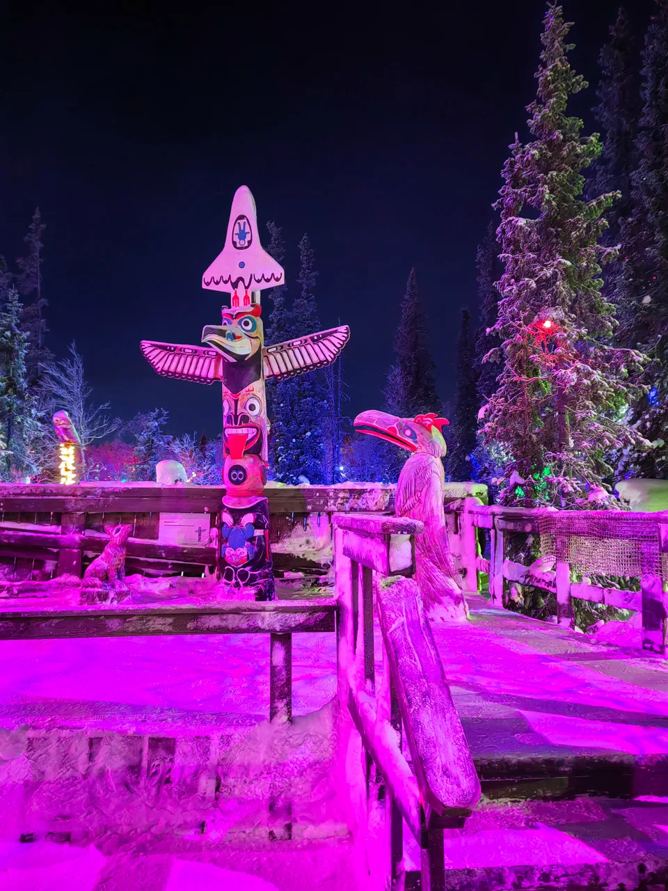 Фото арт-парке в темное время суток